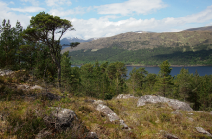 The long-distance course used for last year’s men’s World Orienteering Championships in the Scottish Highlands has been named as the best of 2015 ©EventScotland 